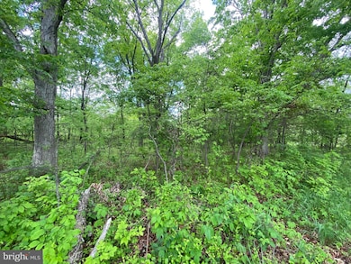 Lot 13 Tavistock Dr, Winchester, VA 22602 - photo 5