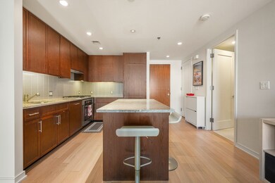 Millenium Place unit 912, Boston, MA 02111 - photo 6