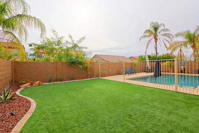 Backyard 1