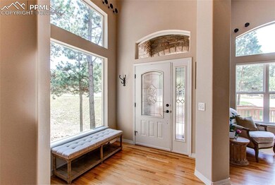 Gorgeous entry flanked with natural light. Real ha