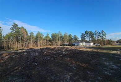 0 SW 135th Ave, Ocala, FL 34481 - photo 5