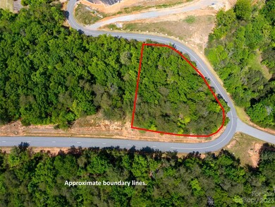 LOT 2012 Deep Gap Farm Rd E, Mill Spring, NC 28756 - photo 4