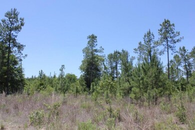 listing777585photo3