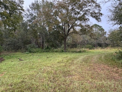 0- Wesley Rigdon Rd, Abraham Baldwin College, GA 31794 - photo 2