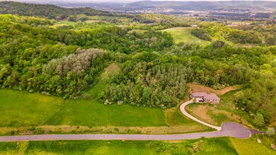 02_DJI_0930_mls