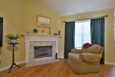 Gas fireplace