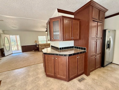 99 Joe Hester Rd, Hazlehurst, GA 31539 - photo 7