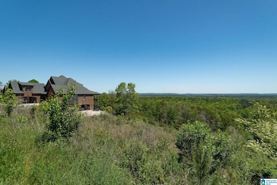 1776 Southpointe Dr unit 35, Hoover, AL 35244 - photo 6