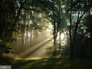 204 N Virginia Ave, Falls Church, VA 22046 - photo 4