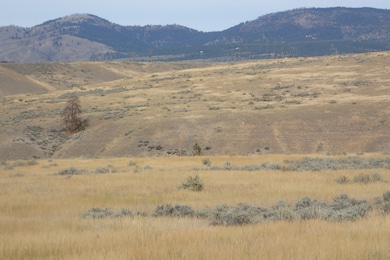 626 Willy Way, Stevensville, MT 59870 - photo 2