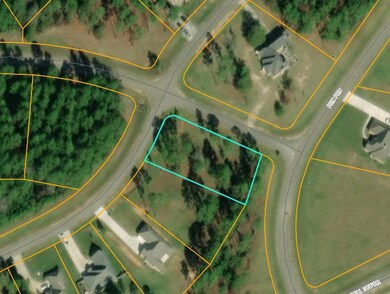 Aerial photo of the lot