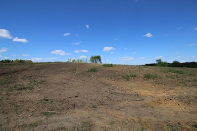 4773 McMinnville Hwy, Smithville, TN 37166 - photo 7