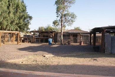 DSC02904