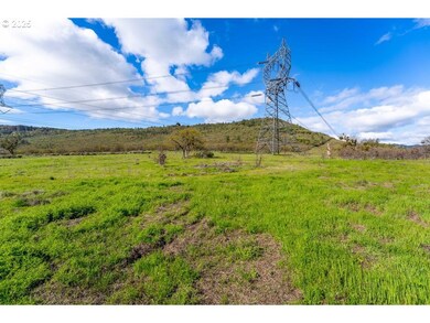 10695 Kildee Ave, Centralpoint, OR 97502 - photo 4