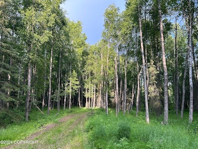 13964 W Little Jack Ave, Wasilla (17)