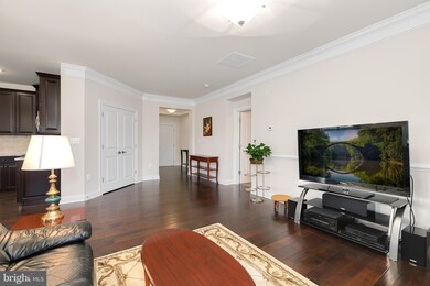 21022 Rocky Knoll Square unit 407, Ashburn, VA 20147 - photo 7