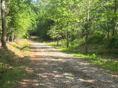 002 Swan Bridge Rd, Talking Rock, GA 30175 - photo 2