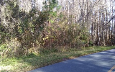 0 NW Scenic Lake Dr unit 103712, Lake City, FL 32055 - photo 3