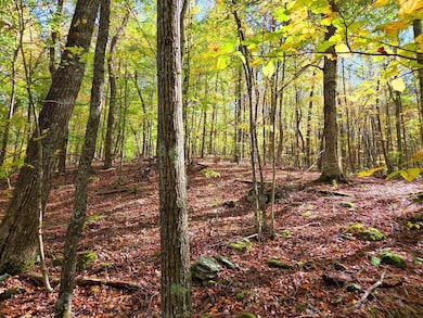 0 Backus Mountain Rd, Meadow Bridge, WV 25976 - photo 5