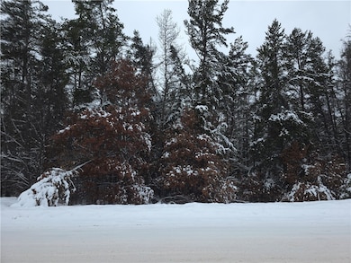 0 Liesch Rd, Trego, WI 54888 - photo 6