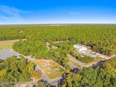 91 Bennington Way, West Creek, NJ 08092 - photo 6