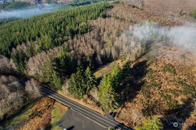 295 Butte Creek Rd, Raymond, WA 98577 - photo 4