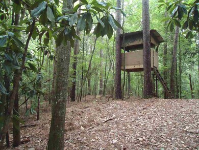 0 Highway 472 unit 1321431, Georgetown, MS 39078 - photo 2