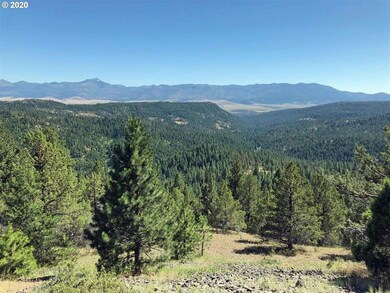 0 Bear Creek Elk unit 20026010, Prairie City, OR 97869 - photo 5
