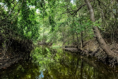 View of local wilderness featuring a large body o