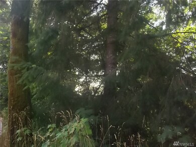 0 Spencer Rd unit 1180517, Salkum, WA 98564 - photo 4