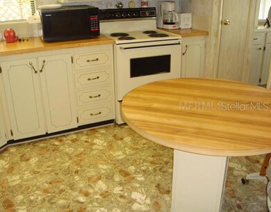 36402 Le Sabre Way, Zephyrhills, FL 33541 - photo 4