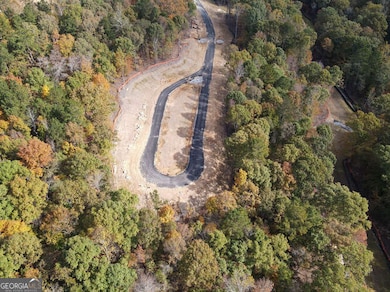 3019 Turning Creek Trail, Dacula, GA 30019 - photo 2