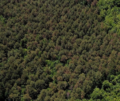 + - 69 Acres unit Calhoun County MS, Bruce, MS 38915 - photo 6