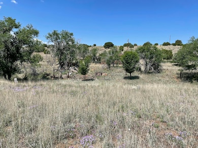 191 Kirkland Rd, Silver City, NM 88061 - photo 5