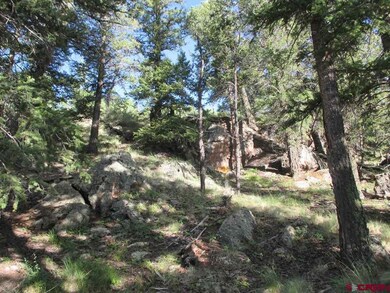 0 Slumgullion Trail unit 755408, Powderhorn, CO 81243 - photo 3