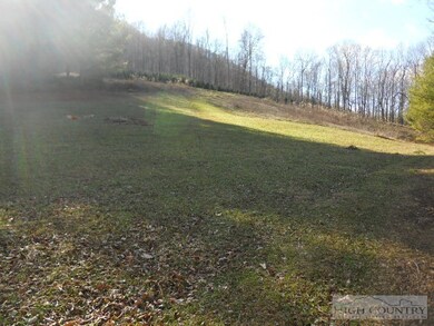 Open meadow: There are various open areas that are