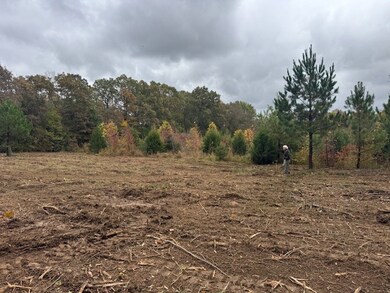 0 Barren Fork Dr unit RTC3034041, Bon Aqua, TN 37025 - photo 2