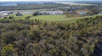 0 Old Boyce Rd unit 25682265, Alexandria, LA 71301 - photo 7