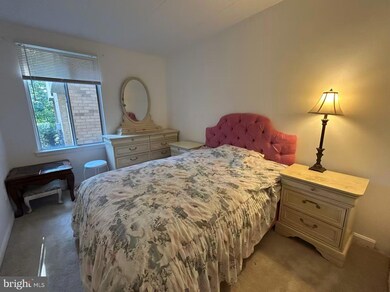 2323 Freetown Ct unit 2B, Reston, VA 20191 - photo 6