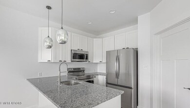 Kitchen Pic 2