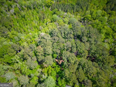 0 Ward Boyette Rd, Bristol, GA 31518 - photo 3