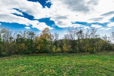 0 Macon Rd unit 25060414, Saline, MI 48176 - photo 4