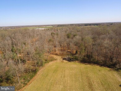 0 Shore Highway-404 unit MDCM2004050, Denton, MD 21629 - photo 6