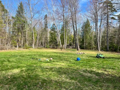 back yard