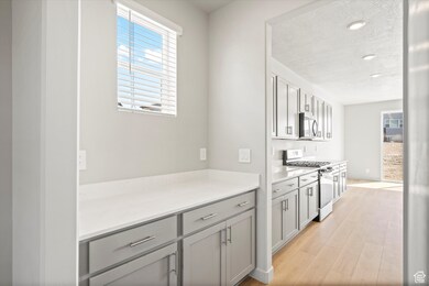 Kitchen with plenty of natural light, gray cabinetry, appliances with stainless steel finishes, light wood-style floors, and recessed lighting
