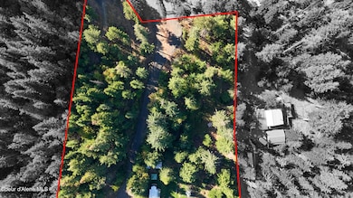 783 E Cliff View Dr, Harrison, ID 83833 - photo 5