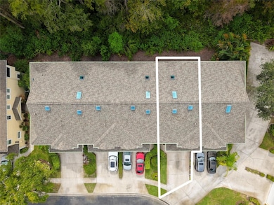 3452 Primrose Way, Palm Harbor, FL 34683 - photo 2