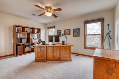 355 Avena Cir, Naperville, IL 60565 - photo 4