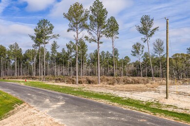 135 Beagle Chase Dr, Appling, GA 30802 - photo 4