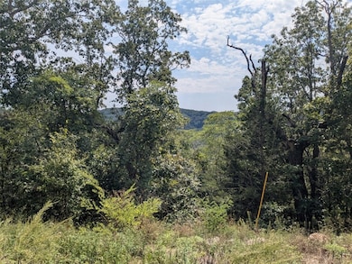 25 Cypress Point Ln, Eureka Springs, AR 72631 - photo 2